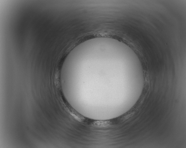 X0000083610526200702120727