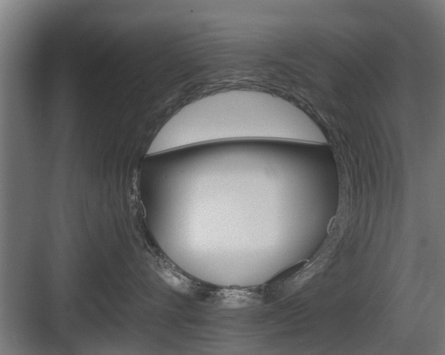 X0000083610528200702120727