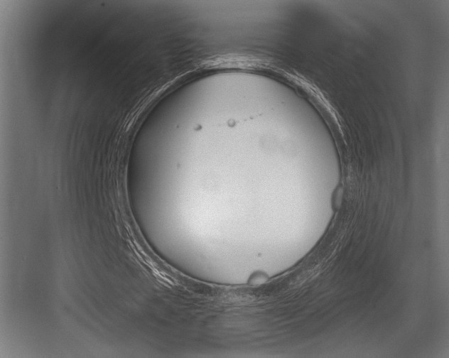 X0000083610529200702120726