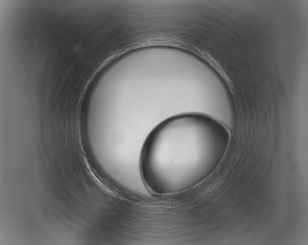 X0000083610530200702120726