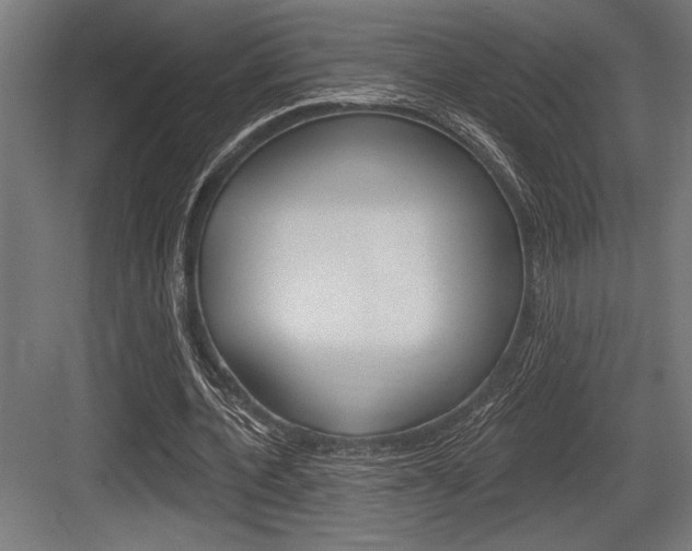 X0000083610532200702120726