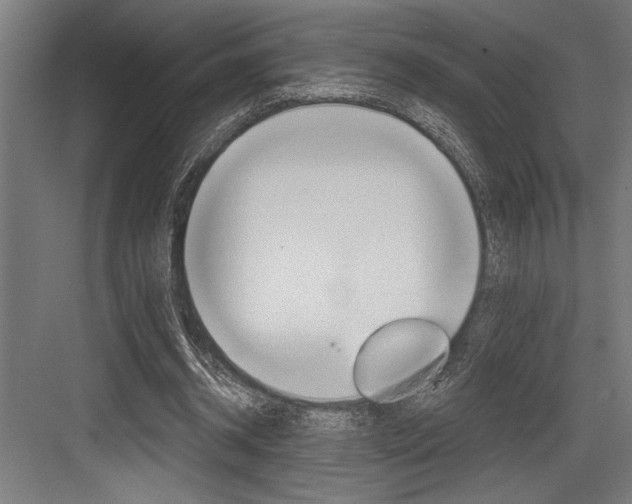 X0000083610534200702120726