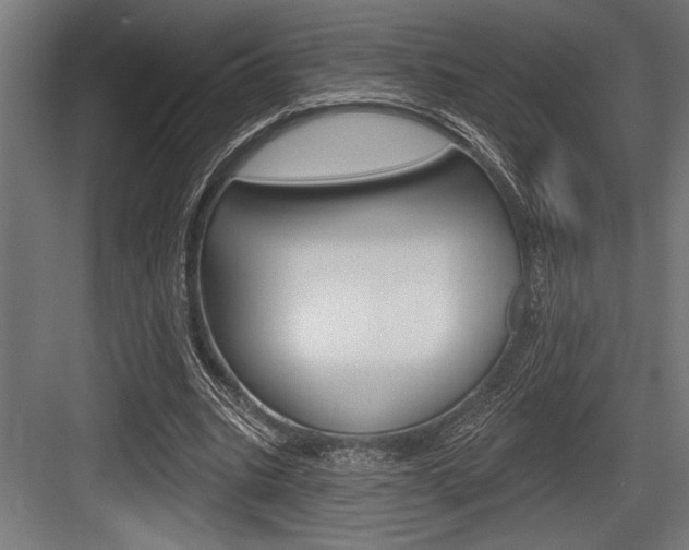 X0000083610535200702120726