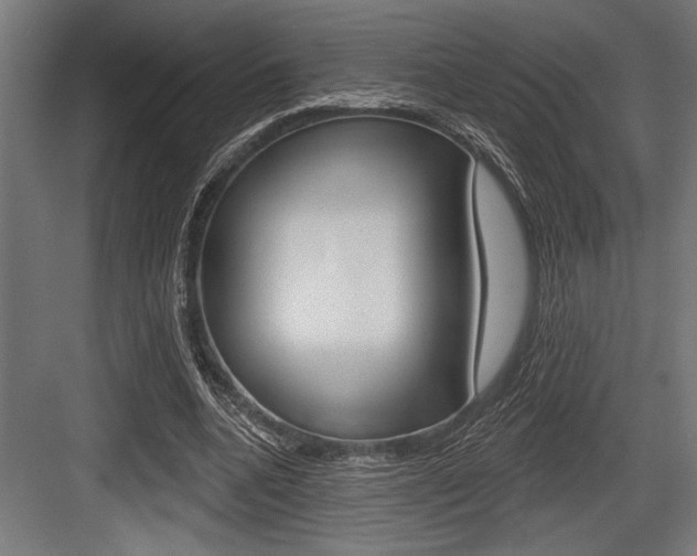 X0000083610536200702120726