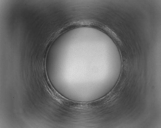 X0000083610537200702120726