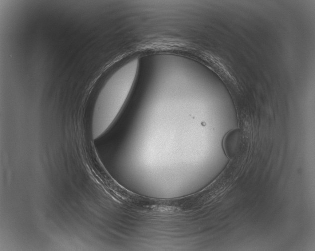 X0000083610539200702120726