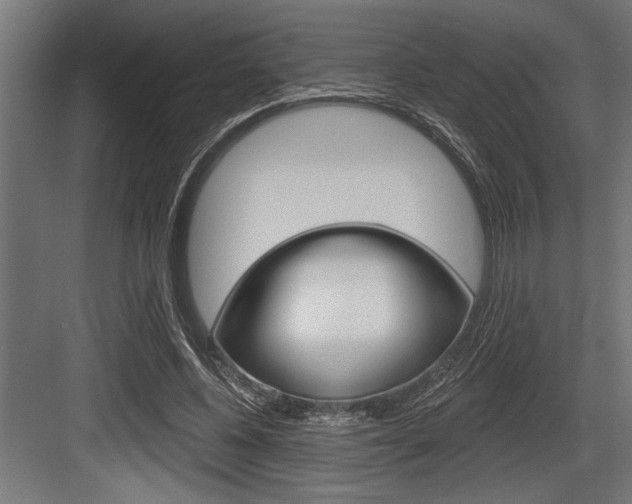 X0000083610540200702120726