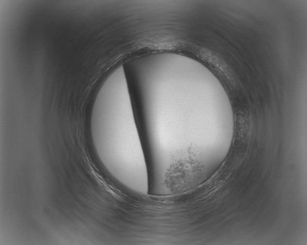 X0000083610541200702120726