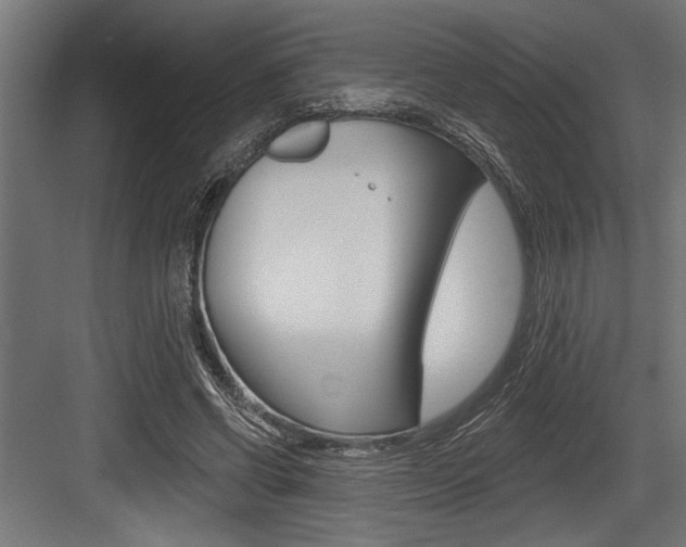 X0000083610542200702120726