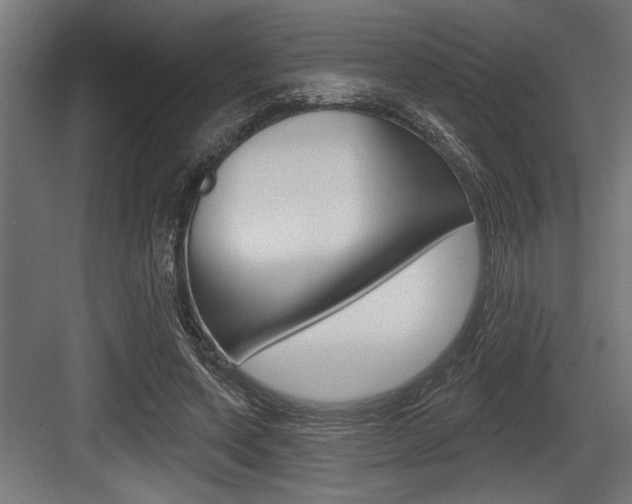 X0000083610543200702120726