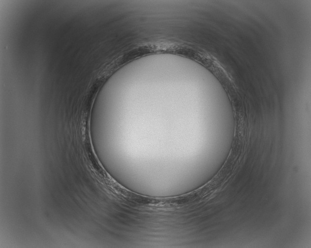 X0000083610545200702120726