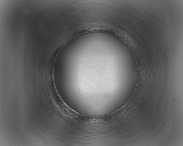 X0000083610546200702120726