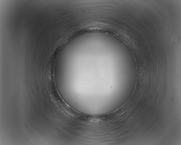 X0000083610547200702120726