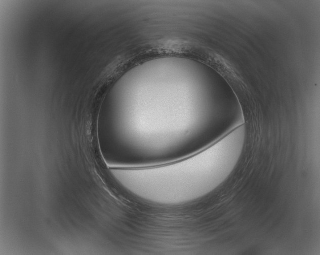 X0000083610548200702120726