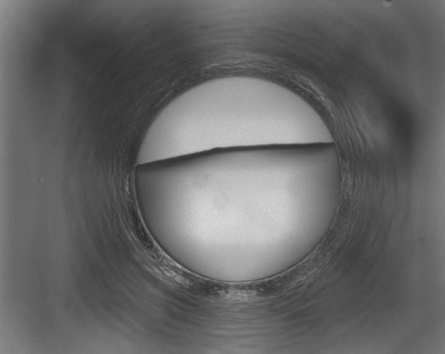 X0000083610549200702120726