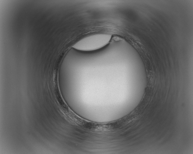 X0000083610550200702120726