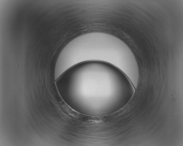 X0000083610552200702120726