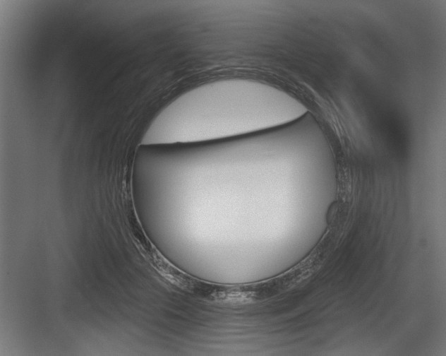 X0000083610553200702120726