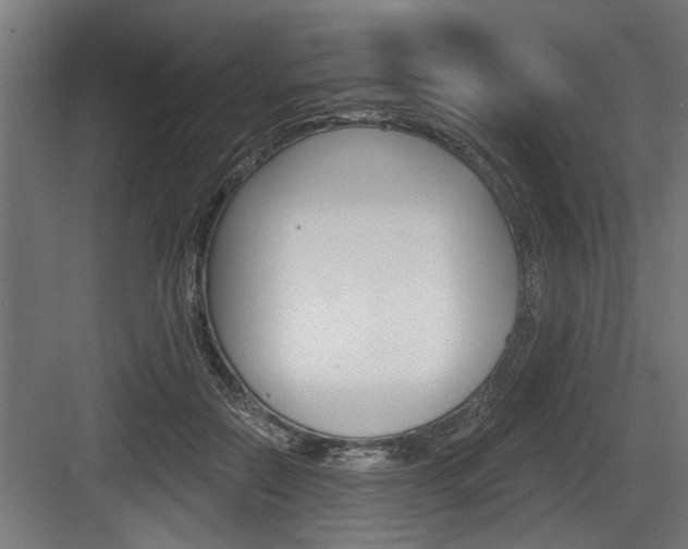 X0000083610554200702120726