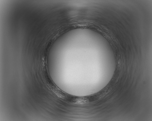 X0000083610555200702120726