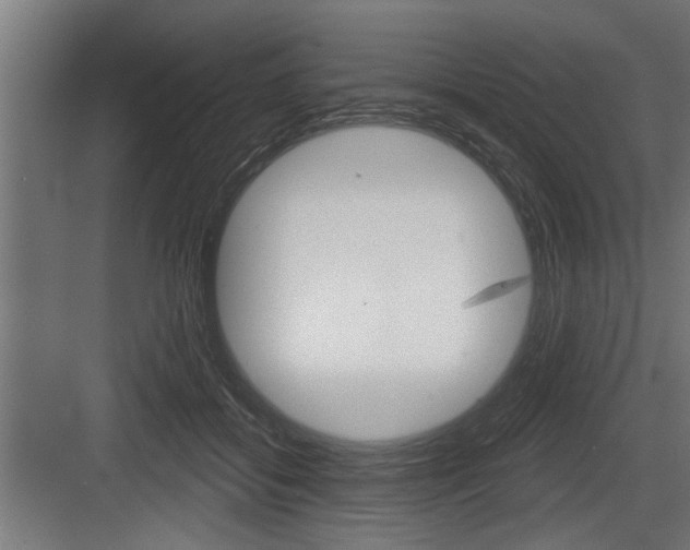 X0000083610556200702120726