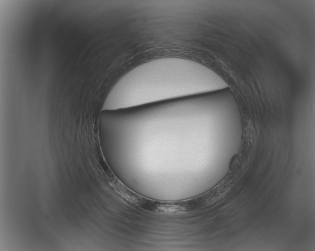 X0000083610557200702120726