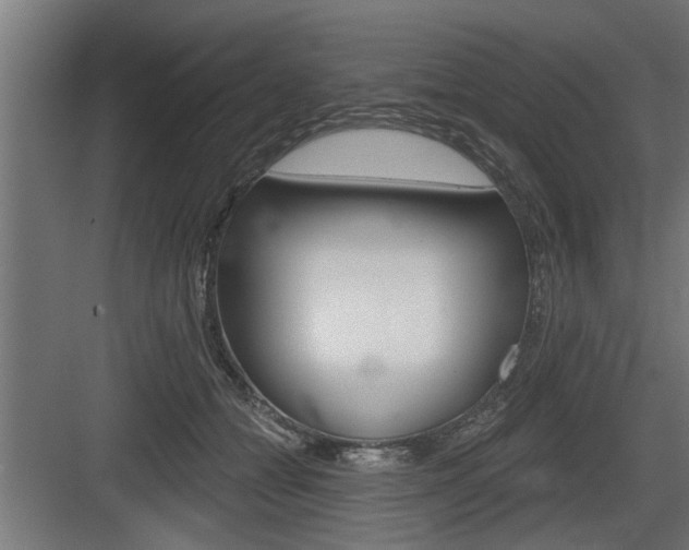 X0000083610558200702120726