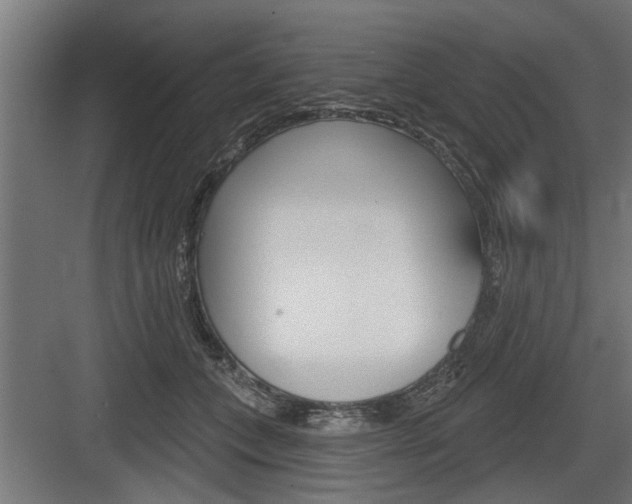 X0000083610559200702120726