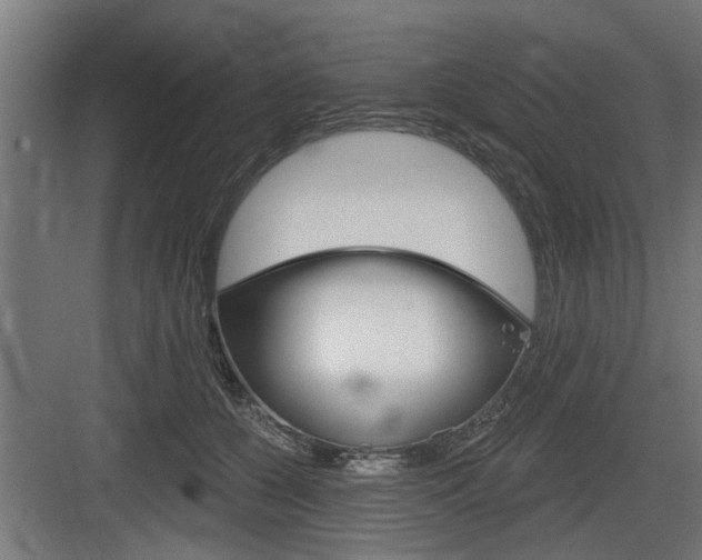 X0000083610560200702120726