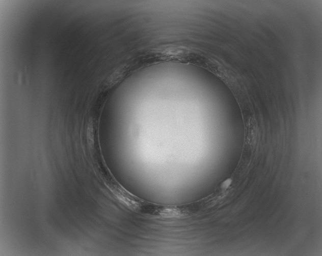 X0000083610562200702120726