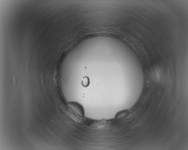 X0000083610563200702120726