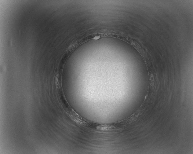 X0000083610564200702120726