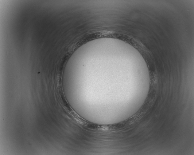 X0000083610565200702120726