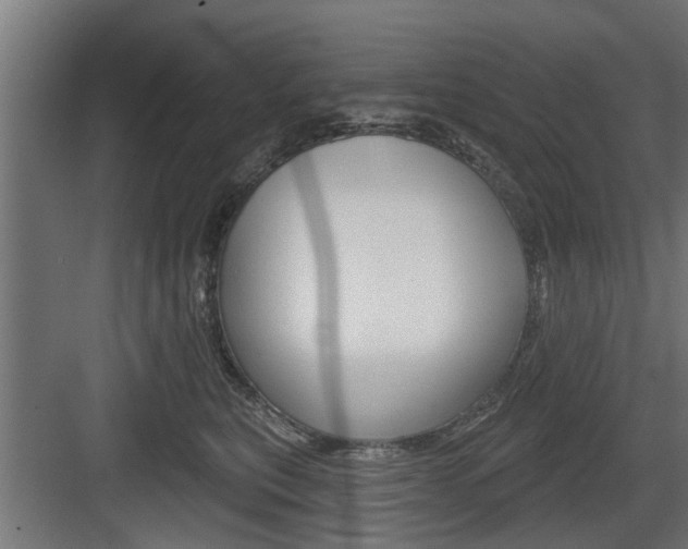 X0000083610567200702120726