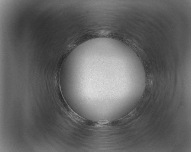 X0000083610568200702120726