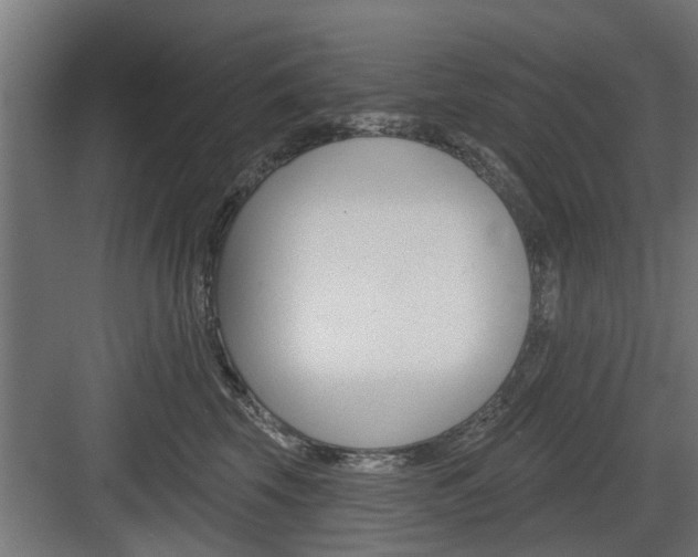 X0000083610569200702120727