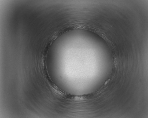 X0000083610570200702120727