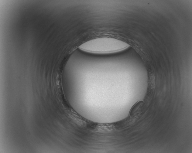 X0000083610571200702120727