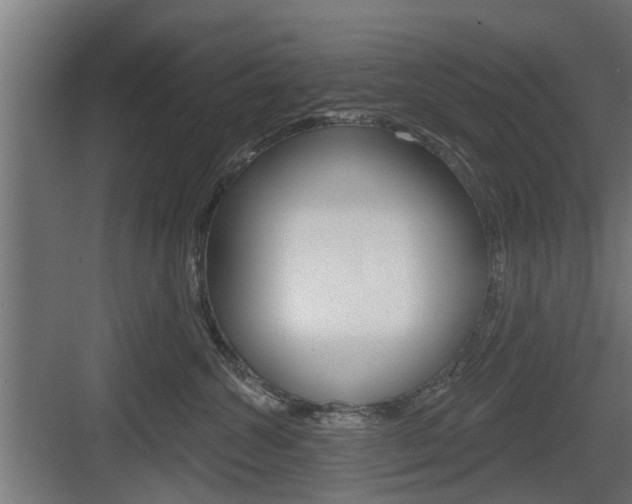 X0000083610572200702120727