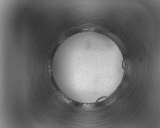 X0000083610573200702120727