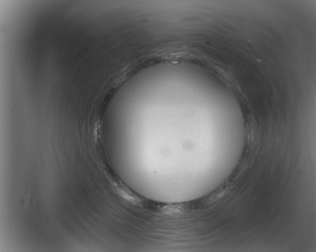 X0000083610574200702120727