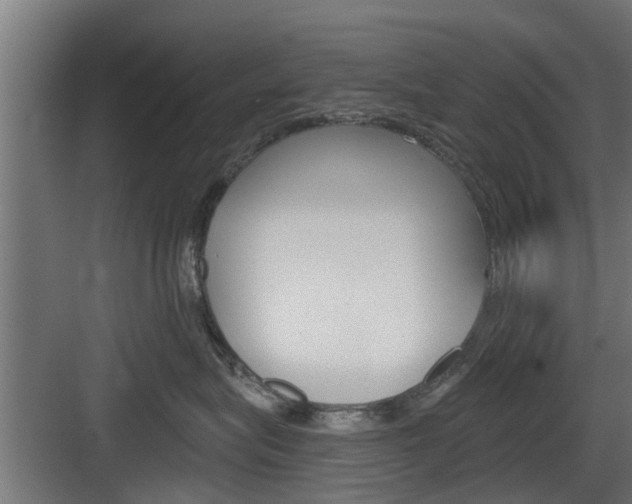 X0000083610575200702120727