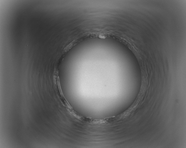 X0000083610576200702120727