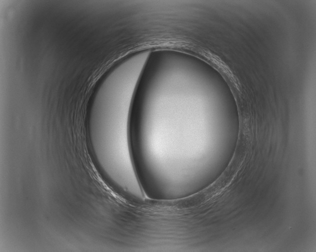 X0000083610577200702120726