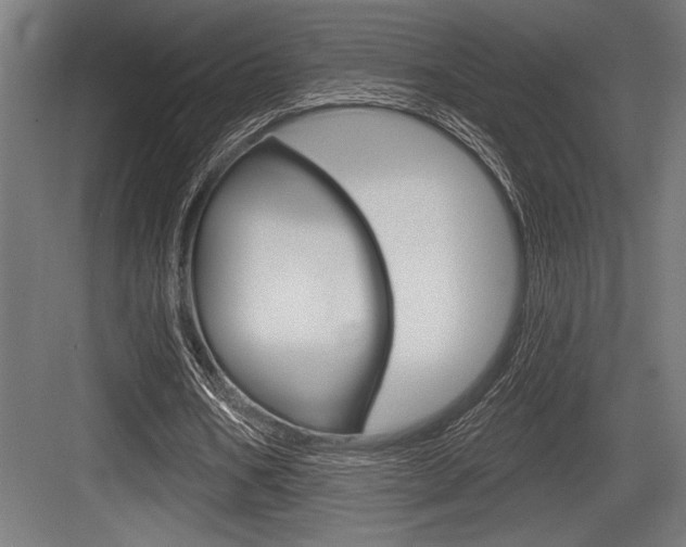 X0000083610578200702120726