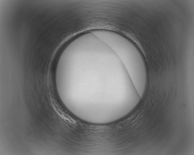 X0000083610579200702120726