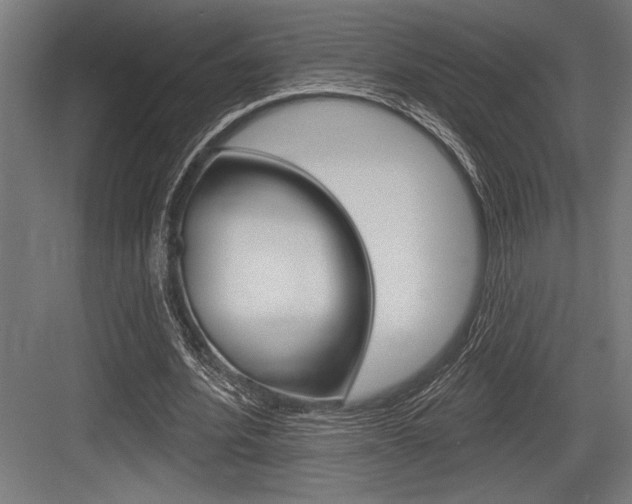 X0000083610580200702120726