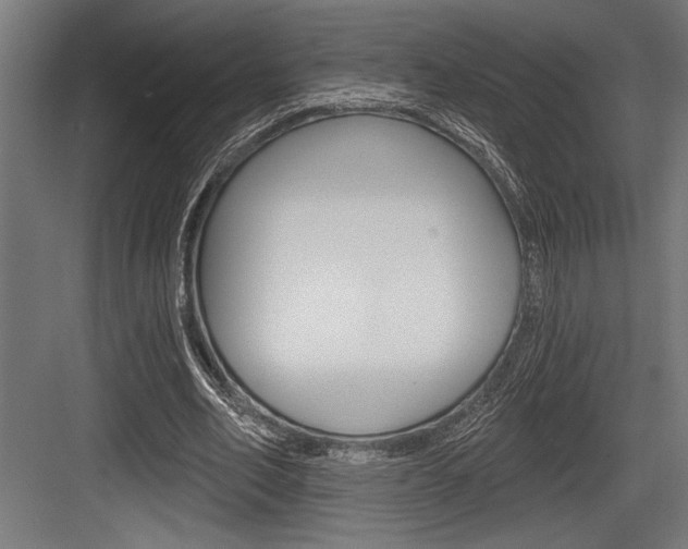 X0000083610582200702120726