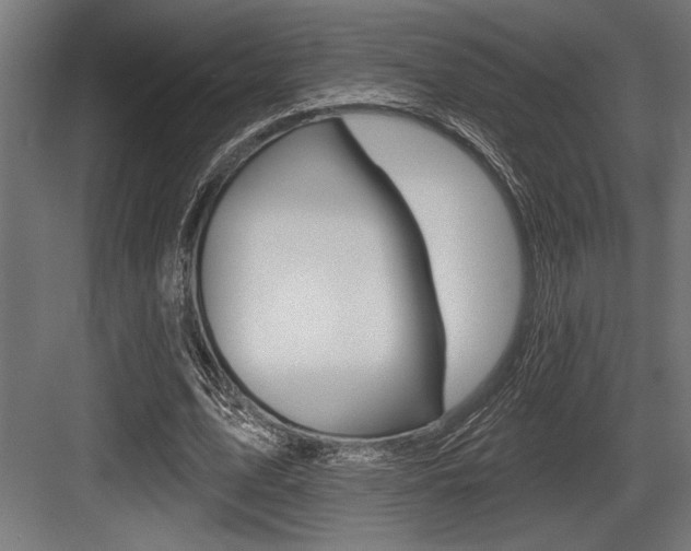 X0000083610583200702120726