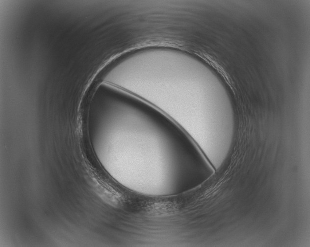 X0000083610584200702120726